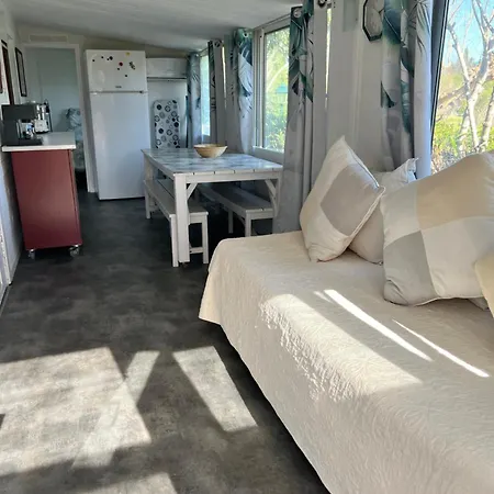 60 M2 *