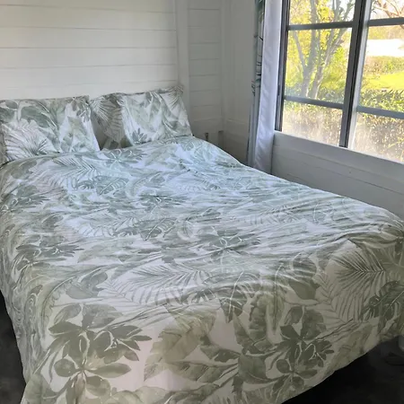 60 M2